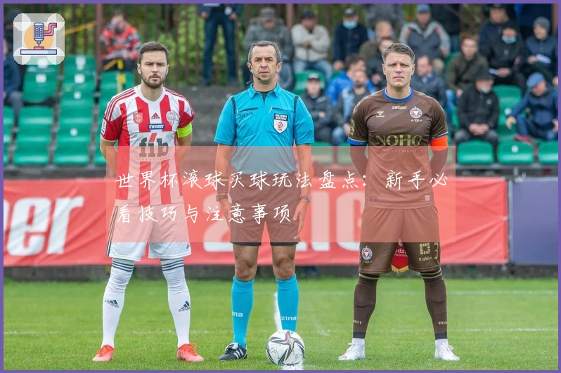 世界杯滚球买球玩法盘点：新手必看技巧与注意事项