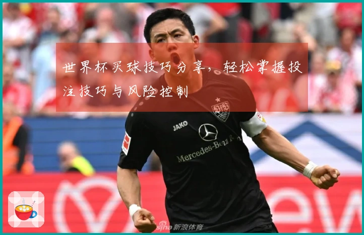 世界杯买球技巧分享，轻松掌握投注技巧与风险控制