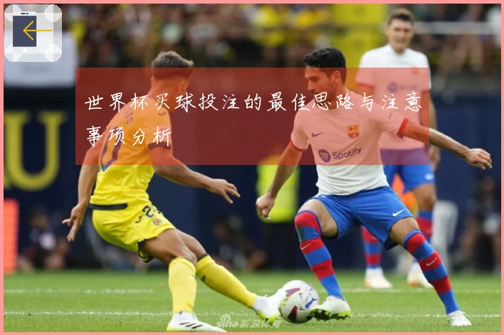 世界杯买球投注的最佳思路与注意事项分析