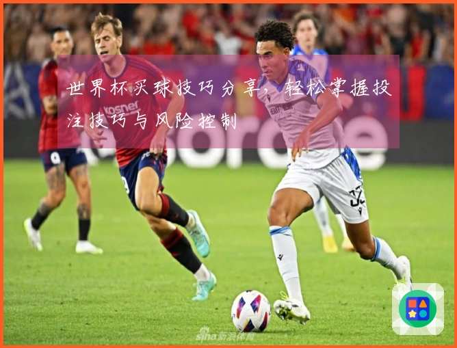 世界杯买球技巧分享，轻松掌握投注技巧与风险控制